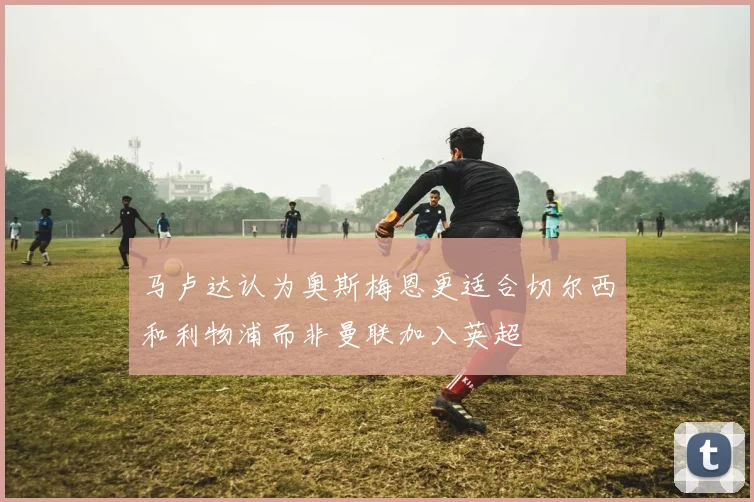 马卢达认为奥斯梅恩更适合切尔西和利物浦而非曼联加入英超
