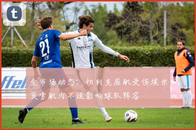 全市场动态：切利克屈肌受伤埃尔莫索肌肉不适影响球队阵容