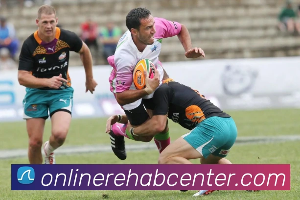 米兰体育在线登录官网发展历程